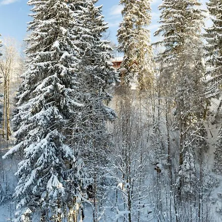 公寓 Graebi By Interhome