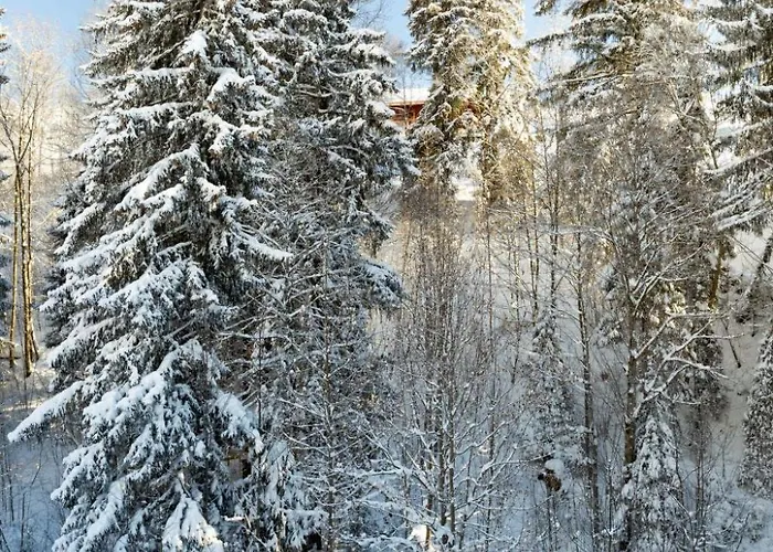 Apartment Graebi By Interhome