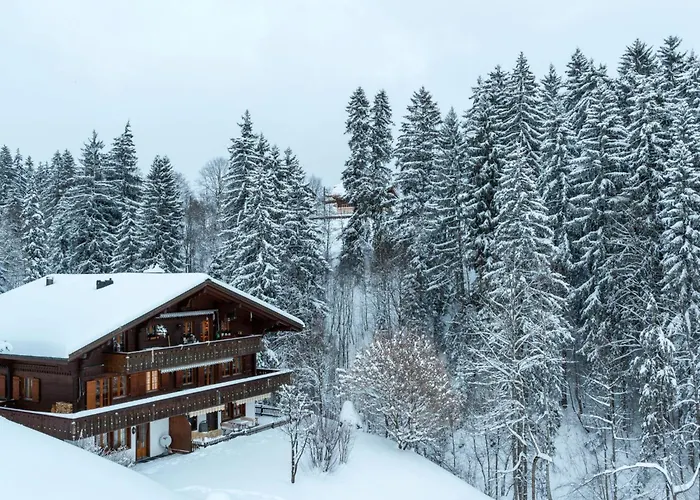 Graebi By Interhome Apartment Gstaad