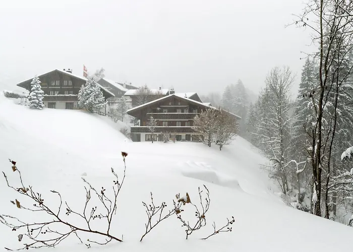 Graebi By Interhome Apartment *