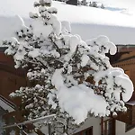 Graebi By Interhome Gstaad
